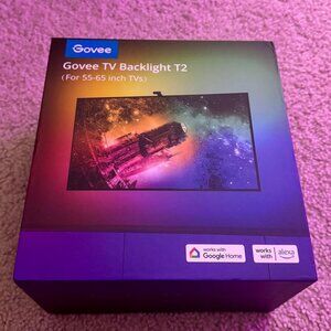 Govee Envisual TV Backlight T2